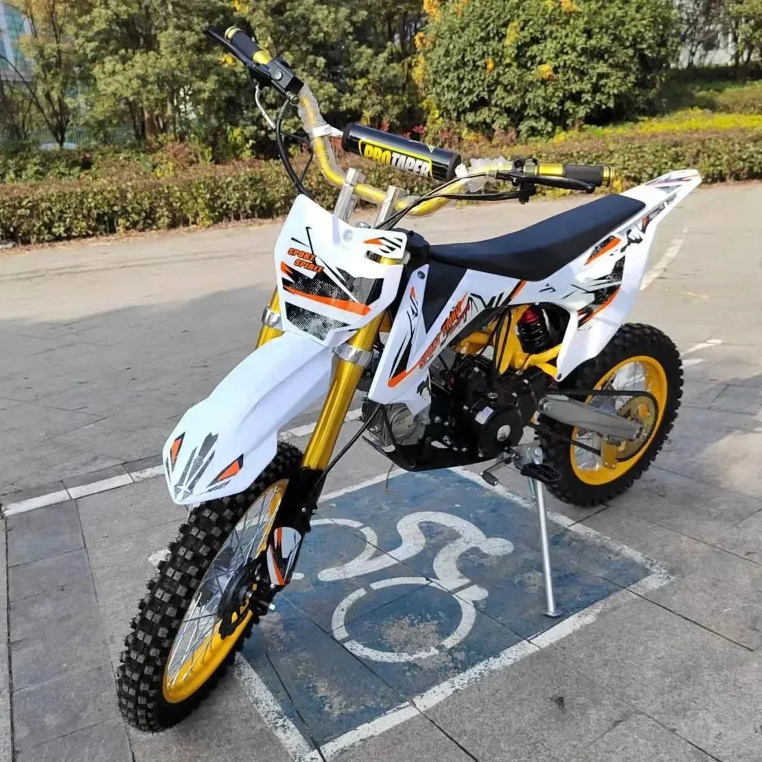 Off Road Adult Motorcycle/Motorbike