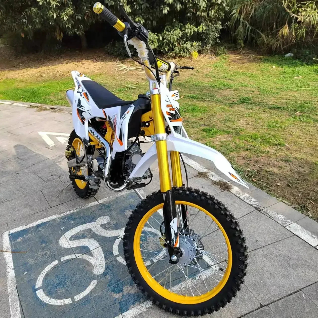 Off Road Adult Motorcycle/Motorbike