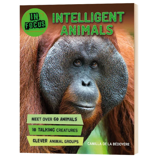 In Focus Intelligent Animals, Children's books aged 7 8 9 10 11 English Popular science picture books, 9780753473887